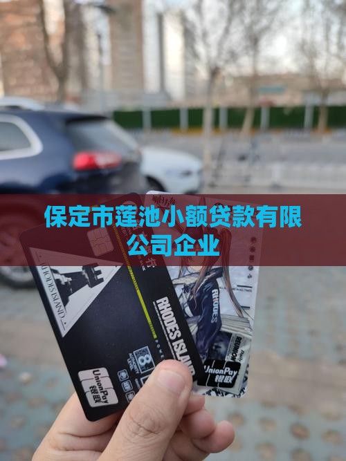 保定莲池小额贷款