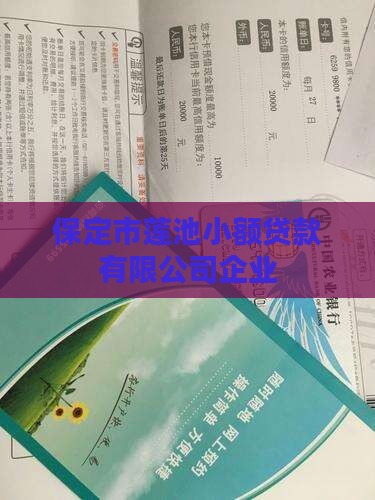 保定莲池小额贷款