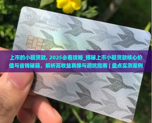 上市的小额贷款