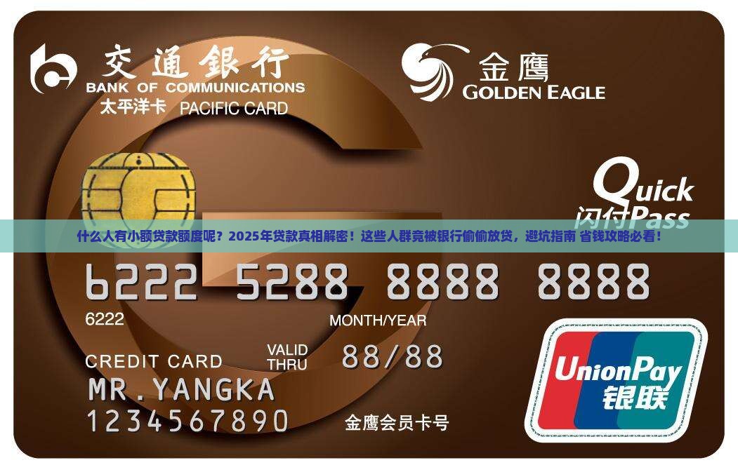 什么人有小额贷款额度呢