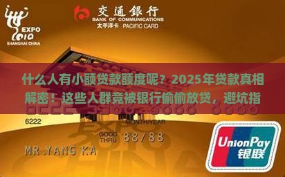 什么人有小额贷款额度呢