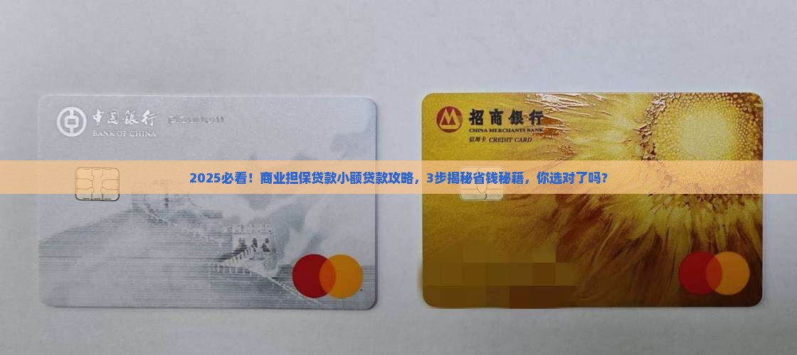 商业担保贷款小额贷款