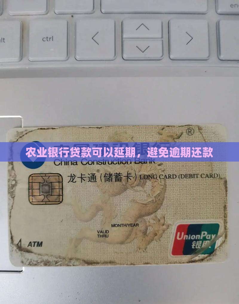 农业银行小额贷款延期