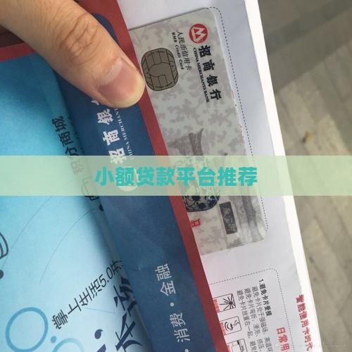 小额度贷款平台