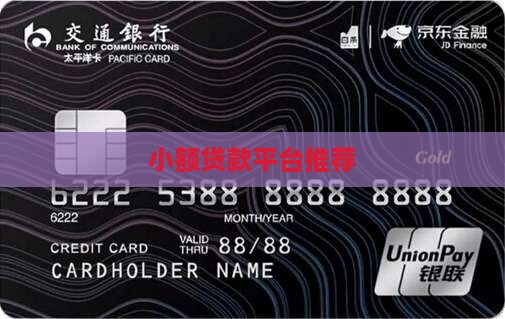 小额度贷款平台