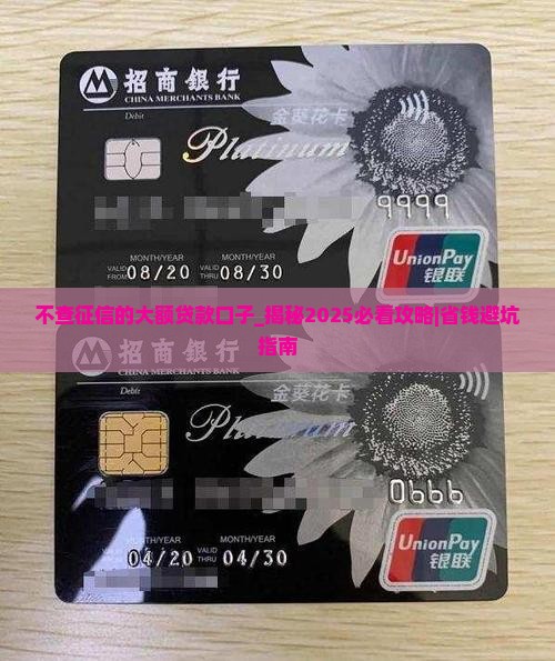 不查征信的大额贷款口子