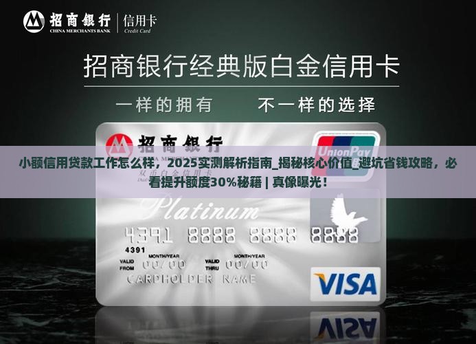 小额信用贷款工作怎么样