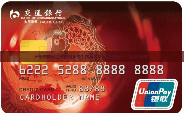 严思东的网上贷款有多少