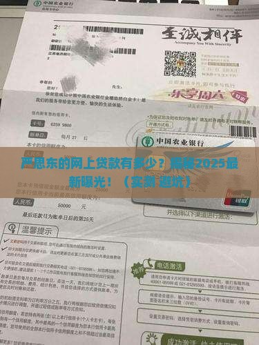 严思东的网上贷款有多少