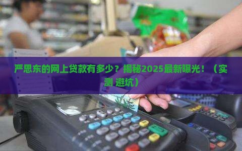 严思东的网上贷款有多少