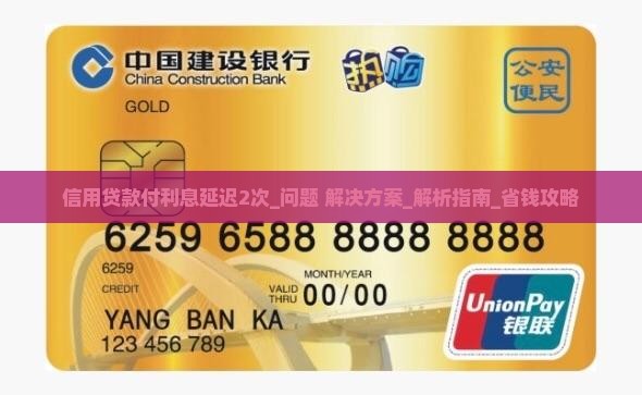 信用贷款付利息延迟2次