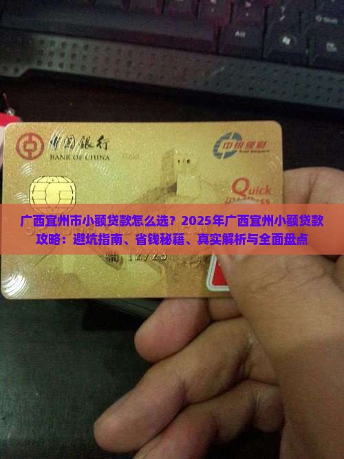 广西宜州市小额贷款
