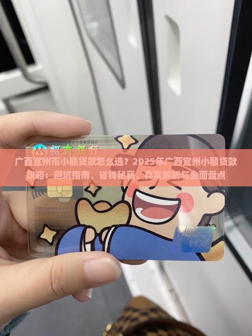 广西宜州市小额贷款