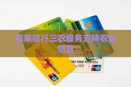 哪家银行支持三农贷款