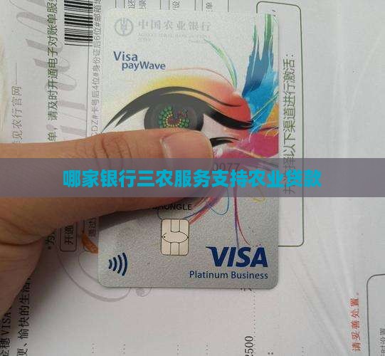 哪家银行支持三农贷款