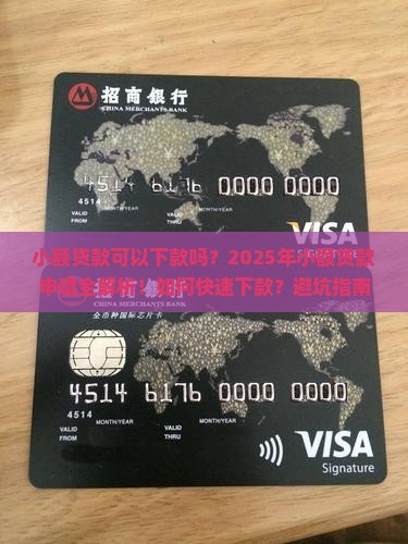 小额贷款可以下款