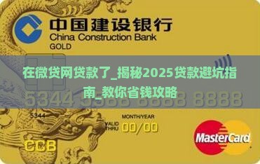 在微贷网贷款了