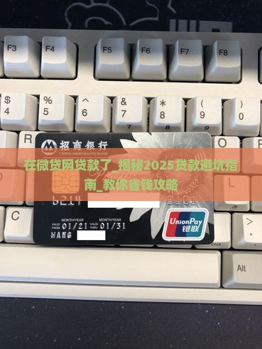 在微贷网贷款了
