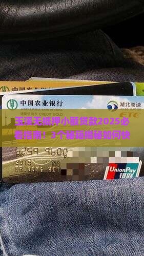 玉溪小额贷款公司无抵押