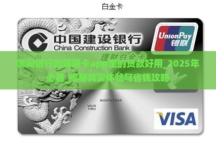 哪间银行的信用卡app里的贷款好用