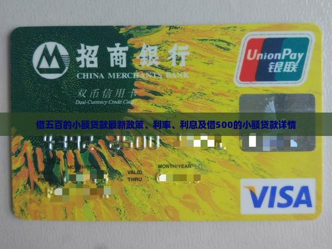 借五百的小额贷款最新