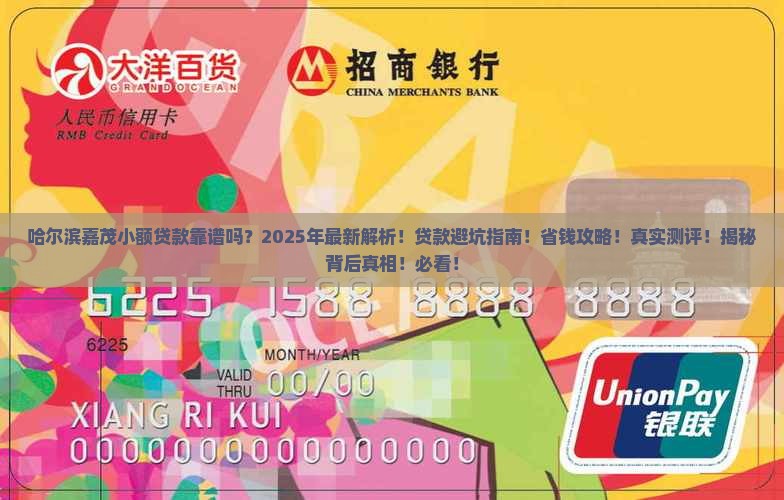 哈尔滨嘉茂小额贷款