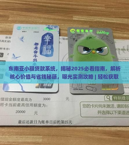 东南亚小额贷款系统