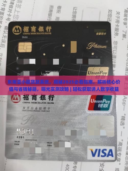 东南亚小额贷款系统
