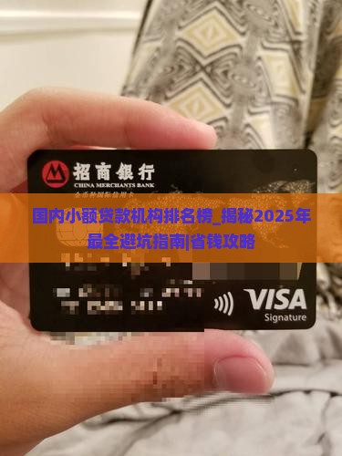 国内小额贷款机构排名榜