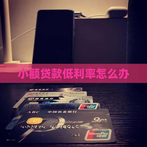 小额贷款低利率怎么办