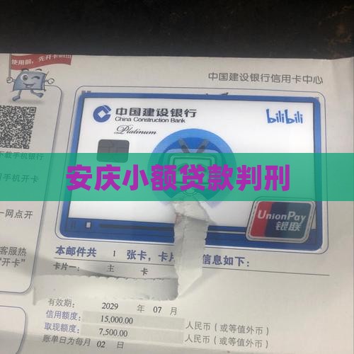 安庆小额贷款判刑