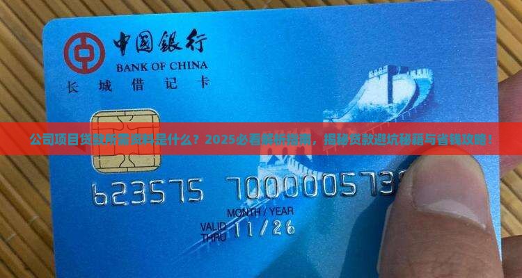 公司项目贷款所需资料