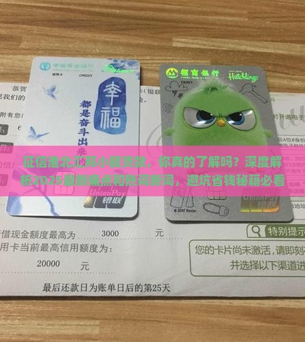 征信淮北汇邦小额贷款