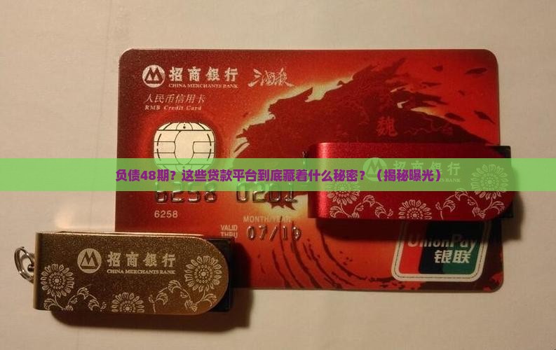 不看负债48期贷款平台