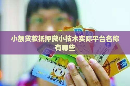 小额贷款名称有哪些