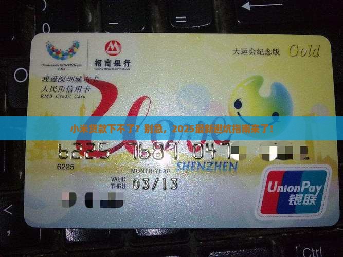 小米贷款下不了了