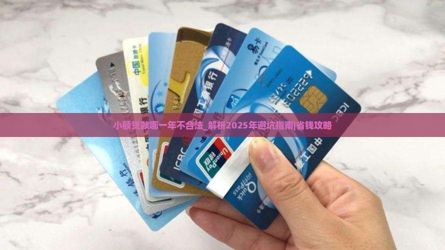 小额贷款哪一年不合法