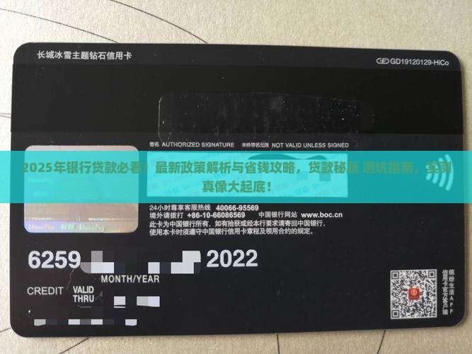 24年银行贷款情况
