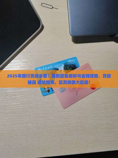 24年银行贷款情况