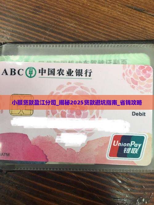 小额贷款盈江分司