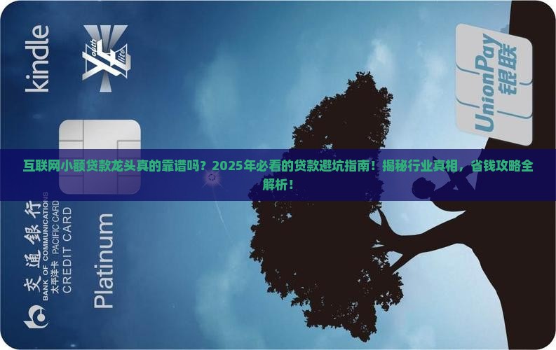 互联网小额贷款龙头