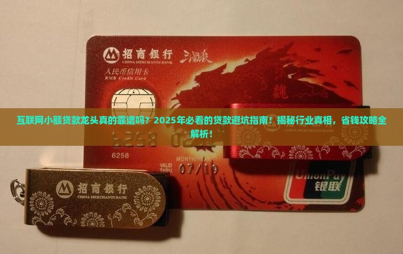 互联网小额贷款龙头