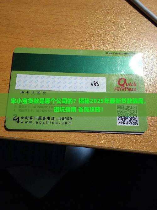 宋小宝贷款是哪个公司的