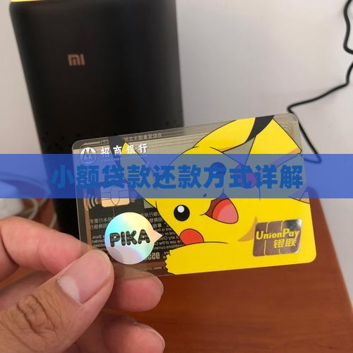 小额贷款现在怎样还款的