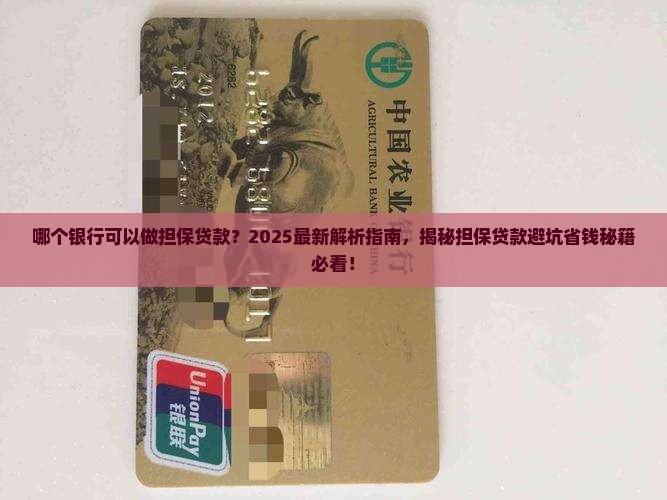 哪个银行可以做担保贷款