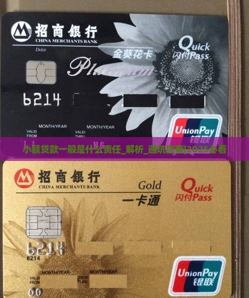 小额贷款一般是什么责任