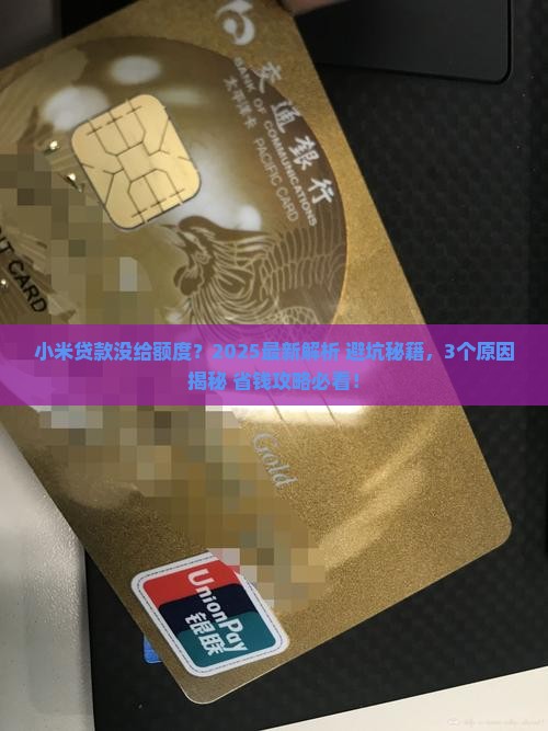 小米贷款没给额度