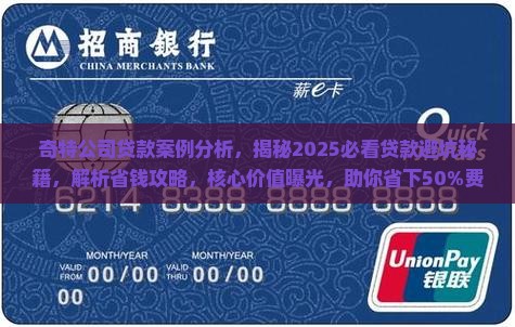 奇特公司贷款案例分析