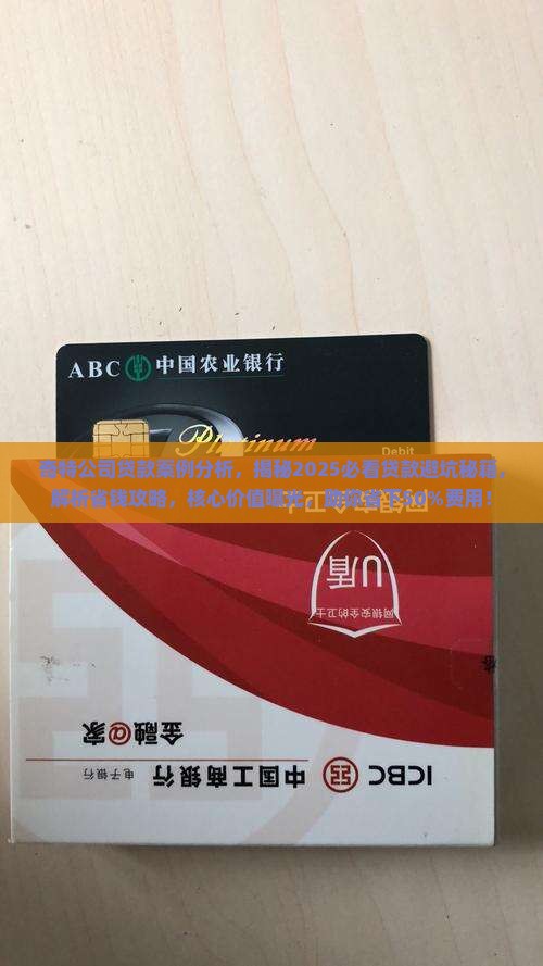 奇特公司贷款案例分析