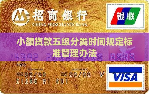 小额贷款五级分类时间